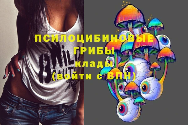 соль ск Алзамай