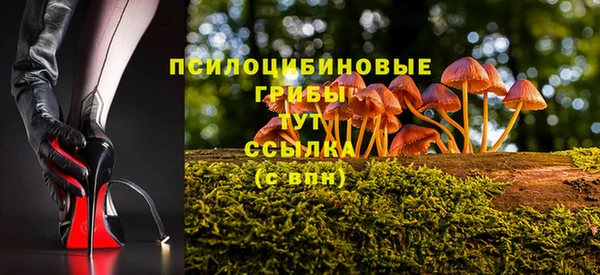 метамфетамин Алексин
