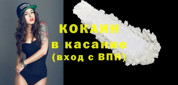 соль ск Алзамай