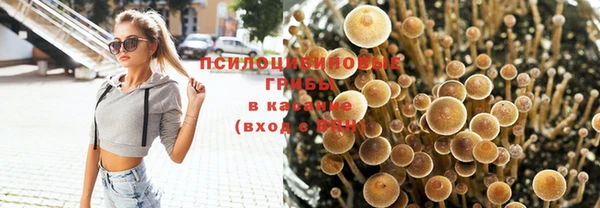 метамфетамин Алексин